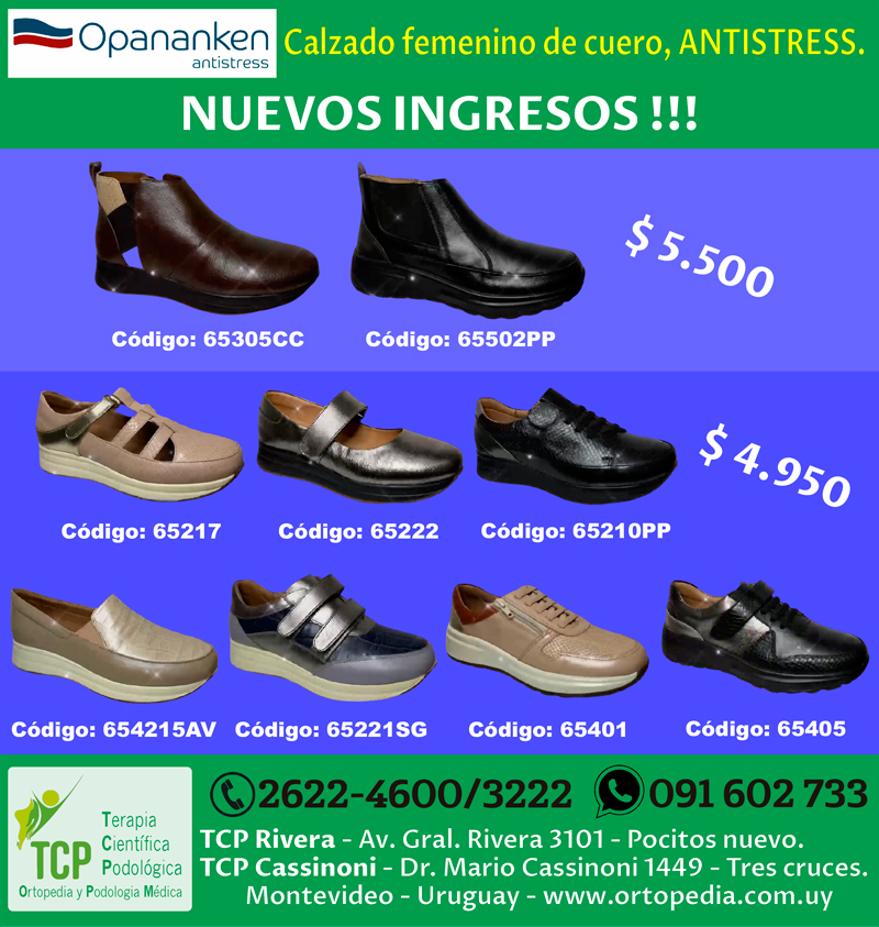 INGRESOS